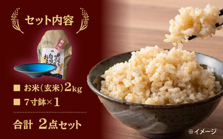 【令和5年産：玄米】 特別栽培米 コシヒカリ （2kg）+ 【美濃焼】 青輝貫入 7寸鉢 【山松加藤松治郎商店】[TEU050]
