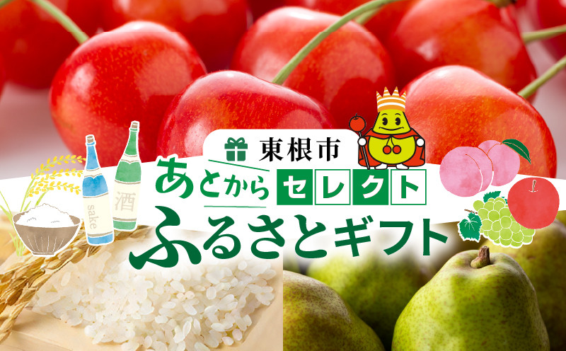 
            山形県東根市 あとからセレクト【ふるさとギフト】寄附1,000円～300,000円相当　hi9999-o
          
