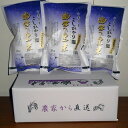 【ふるさと納税】【令和5年産米】幽学の里米 コシヒカリ (2kg×3袋)【1059794】