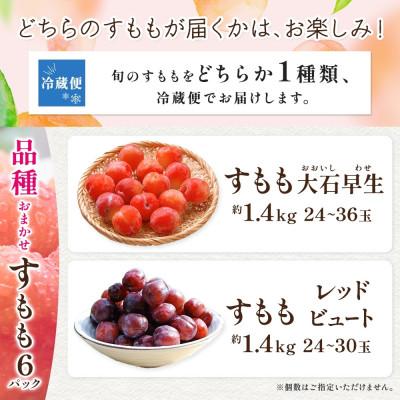 ふるさと納税 笛吹市 【2026年先行予約】すもも 品種おまかせ 6パック 約1.4kg 産地直送 村松農園 笛吹市 |  | 03