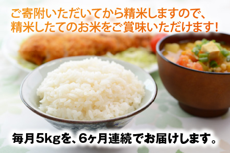 【令和5年産】【農家直送定期便 6ヶ月コース】【白米】 本原農園のまごころコメた 福井県産 コシヒカリ 5kg × 6回 計30kg [C-8961_01]