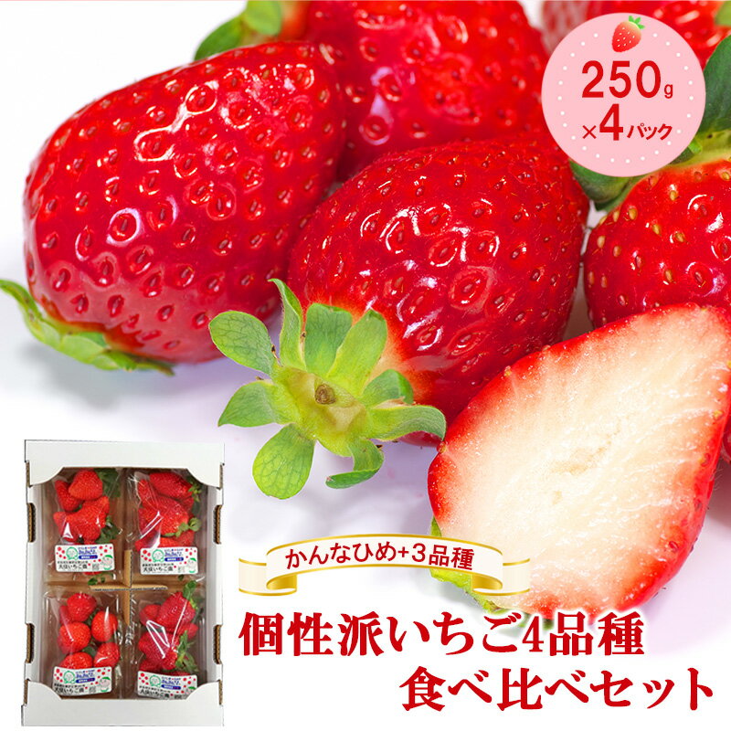 【ふるさと納税】「かんなひめ」+3品種　個性派いちご4品種食べ比べセット　250g×4パック　『とくしま安2（安全・安心）農産物』優秀認定取得　お届け：2025年12月30日～2026年2月15日まで