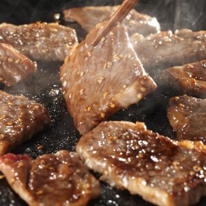 【毎月定期便】肥後の赤牛　焼肉用　500g(熊本県産和牛)【美里】全6回【配送不可地域：離島】【4051283】