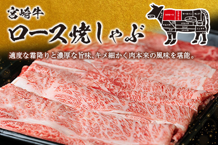 【最短2週間以内で発送】生産者応援 数量限定 宮崎牛 ロース 焼きしゃぶ 計600g 牛肉 ビーフ 黒毛和牛 ミヤチク 国産 ブランド牛 食品 おかず おすすめ 贅沢 イベント お取り寄せ グルメ パ