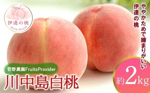 
                  【2026年出荷分先行予約】<冷蔵配送>福島県産 川中島白桃 約2kg (5～7玉) 菅野農園FruitsProvider 白桃 大玉 伊達の桃 桃 フルーツ 果物 もも モモ momo F21C-265
                