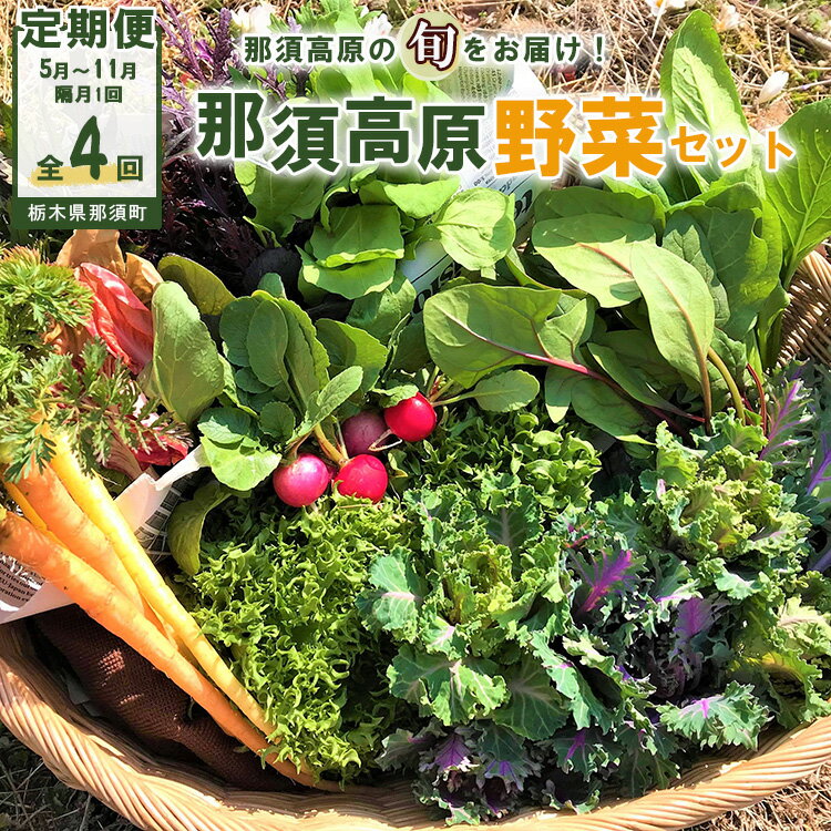 【ふるさと納税】【全4回定期便】那須ブランド 那須高原野菜セット（隔月1回／5月～11月）｜ 野菜 お野菜 新鮮 詰め合わせ やさい みずみずしい 美味しい 自然 栃木県 那須町〔P-67〕※北海道・沖縄・離島への配送不可 ※2026年5月上旬～11月下旬頃に順次発送予定