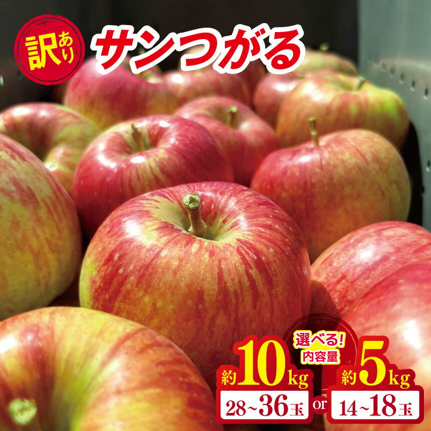 【ふるさと納税】*【2025年先行予約】やまし平林農園 訳あり サンつがる 約5kg / 約10kg ｜ リンゴ りんご 林檎 果物 フルーツ 果実 果汁 サンつがる さんつがる 家庭用 わけあり 訳アリ 長野県 松川村 信州