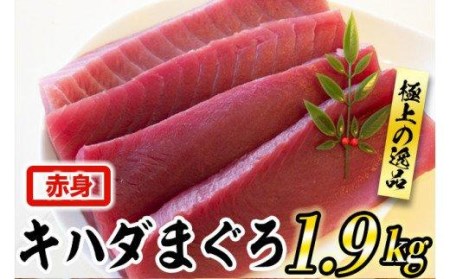 訳あり キハダマグロ 赤身 1.9ｋｇ マグロ 家庭用 コロナ 緊急支援 生産者応援