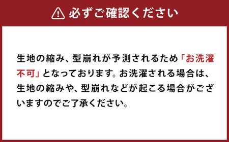 【2枚組】日本製 肌掛け布団 シングル 綿混ガーゼ調生地 (ブルー・グリーン系／ピンク・ベージュ系／ボーダー／チェック) 135x185cm