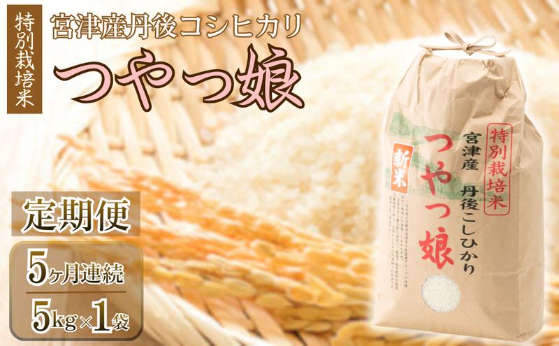 
                  【定期便・全5回】令和7年産 特別栽培米「つやっ娘」 5kg×全5回　宮津産丹後コシヒカリ　発送月固定（4月・5月・6月・7月・8月配送）│新生活 応援 産地 直送 精米 白米 コメ こしひかり 5kg 5回 25kg 京都 天橋立[№5716-0829]
                