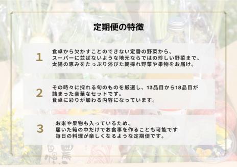 【限定】【定期便5回】とれたて野菜と果物の彩り定期便Box【お米 加工品付き】 13～18品目の豪華セット ※着日指定不可 ※配送不可地域あり ※2024年4月中旬～2025年3月中旬頃に順次発送予定