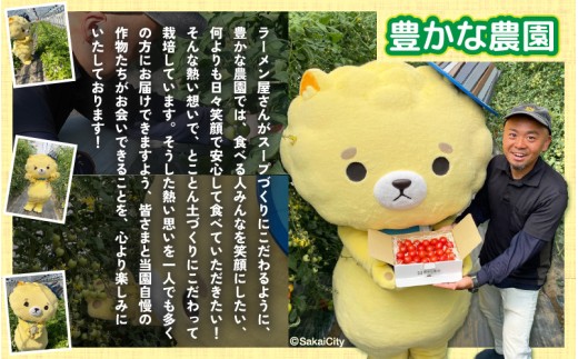 【先行予約】 安心安全！減農薬！こだわり農法で育てた ユウカメロン 1玉 1.5kg以上 【2027年6月上旬以降順次発送予定】 【メロン めろん フルーツ デザート 果物 くだもの 果実 糖度 甘い 産地直送 国産】 [A-21219]