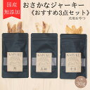 【ふるさと納税】犬用おやつ 国産無添加 おさかなジャーキー 30g入り×3点セット (マグロ、タイ、ヒラメ) プレミアム寿司ネタジャーキー｜ペット用品 愛犬用 犬用 ドッグフード ペットフード おさかな 魚 無添加 安心 安全 国産 おやつ ジャーキー ふるさと [0591]