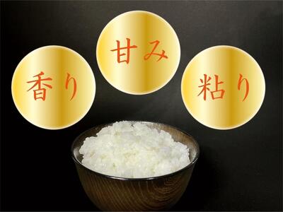 【令和7年産】【南魚沼産】コシヒカリ 白米5kg【2025年9月中旬より順次発送予定】