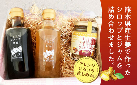 しょうが＆レモン ジャム　生姜 シロップ 2種 レモン・黒糖 セット【ジンジベル】[AYAD010]