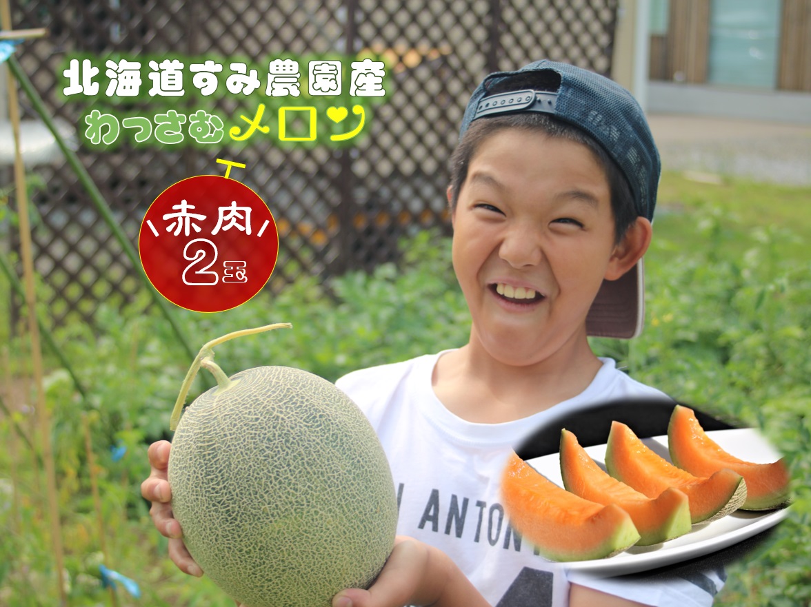 【ふるさと納税】（予約返礼品）わっさむ産メロン（赤肉2玉）