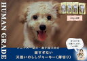 【ふるさと納税】シニア犬＆幼犬用の無添加おやつ☆固すぎない天然いのししジャーキー4個（FB097）