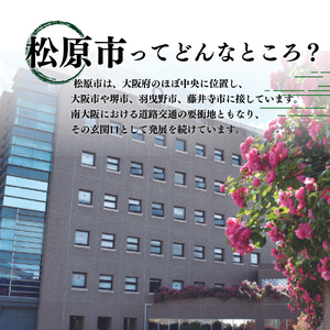 メンズ レザーサンダル 黒 Mサイズ 【サンダル】