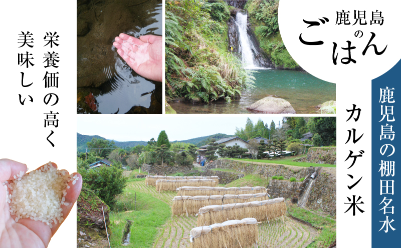 【全6回定期便】マジカル冷凍定食三種セット　K258-T04_b