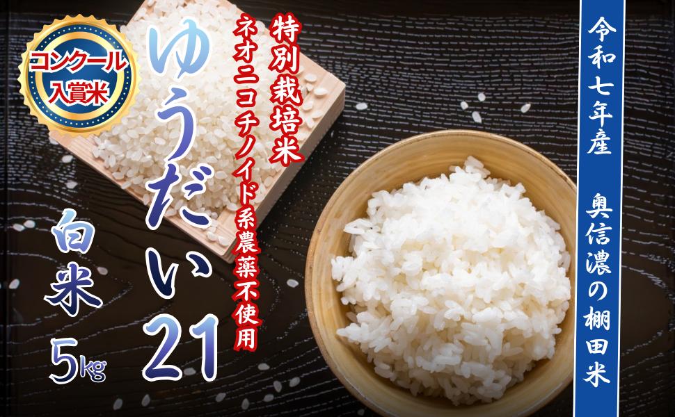 
                  【令和7年産】特別栽培米 ゆうだい21 『奥信濃の棚田米 実の里』 精米 5㎏ （5kg×1袋）｜ お米 コメ 白米 ご飯 長野県 信州 飯山市 令和7年 ゆうだい 産地直送 農家直送 (7-99) 
                