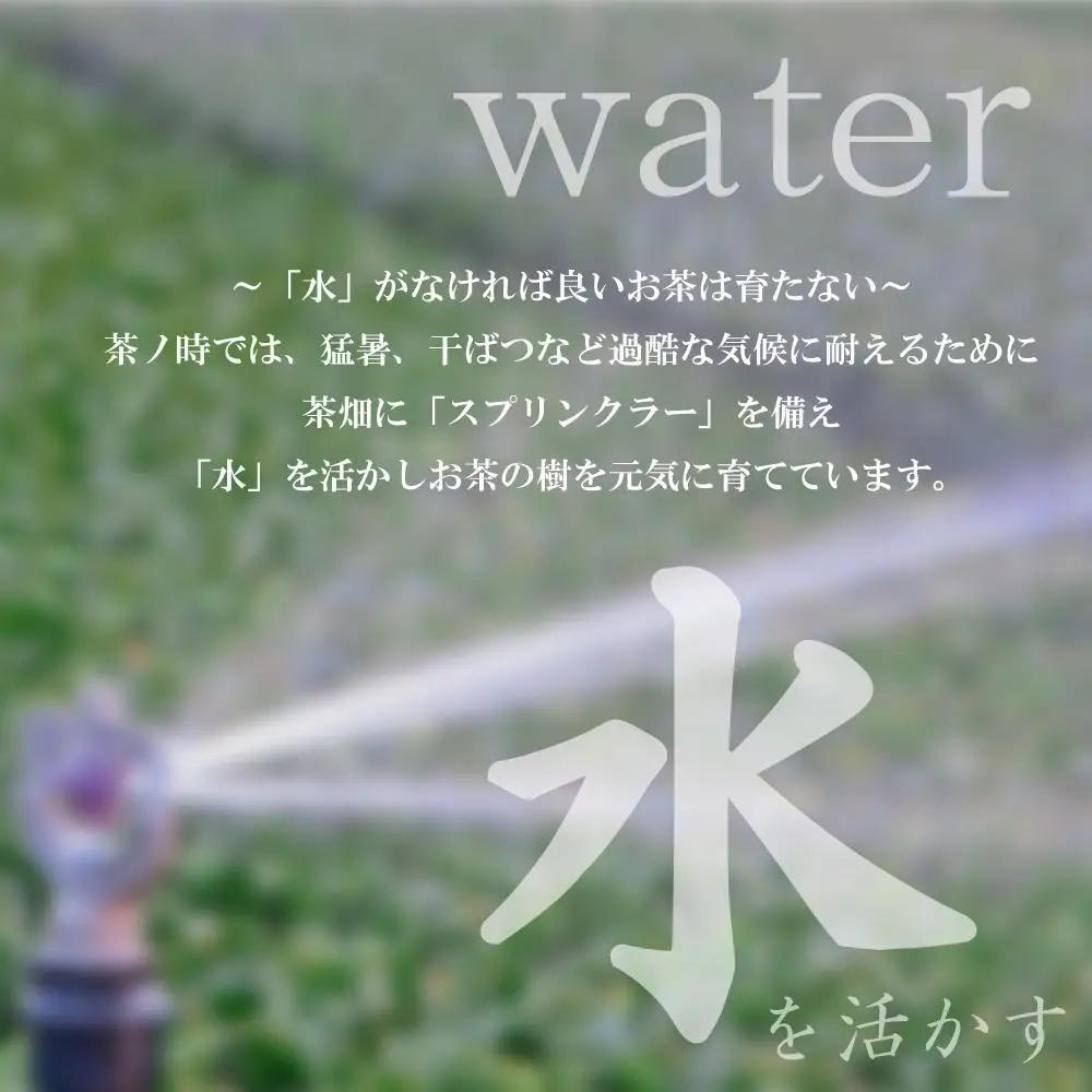原田茶園 特上煎茶 艶花 200g(100g×2袋)【八女茶】