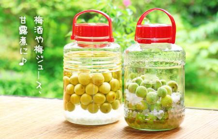 【2025年6月上旬出荷】青梅 南高梅 5kg 秀品 サイズミックス 和歌山県産 A品 梅酒作り用 梅ジュース作り用