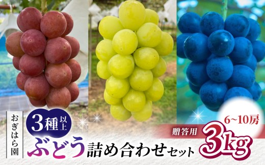 【2026年先行受付】農家直送！贈答用ぶどう詰め合わせセット ３kg（6～10房）｜おぎはら園（シャインマスカット、種なし巨峰、ナガノパープル 、クイーンニーナ、クイーンルージュ(R)など）　※202