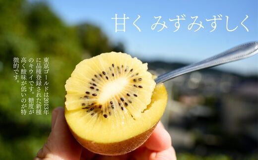 画像はイメージです。