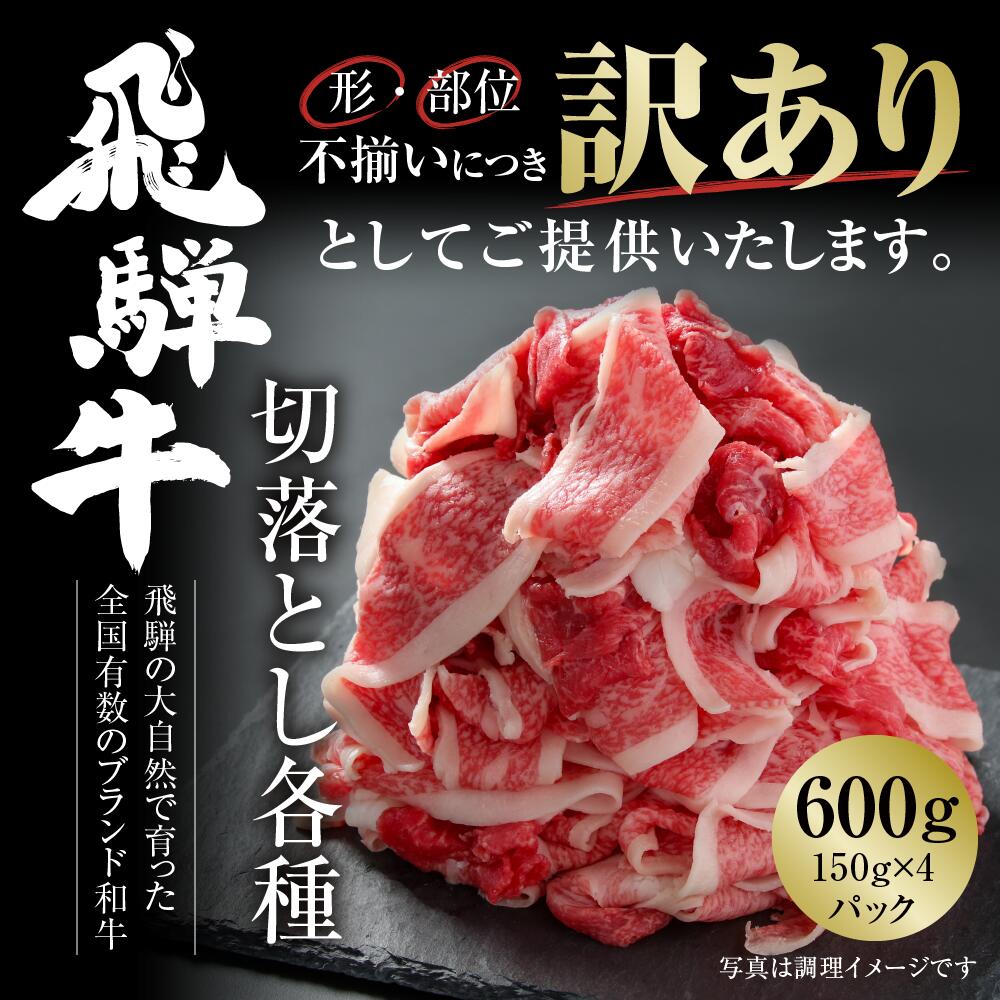 【ふるさと納税】訳あり 飛騨牛 切落とし 600g（150g×4パック） 冷凍真空パック | 肉 お肉 切り落とし すき焼き すきやき 黒毛和牛 和牛 個包装 小分け 人気 おすすめ 牛肉 ギフト お取り寄せ【MZ012】