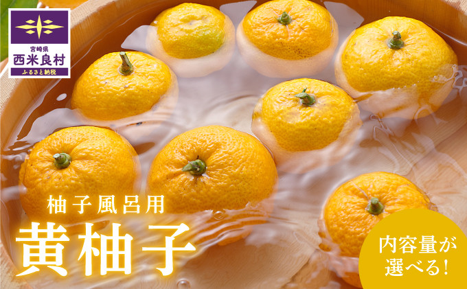 
                  B級黄柚子1kg（ゆず風呂におすすめ）
                