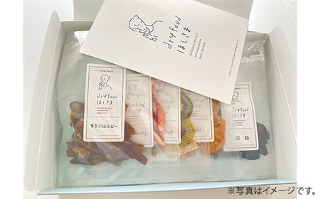 季節のドライフード7種セット　約70g No.398