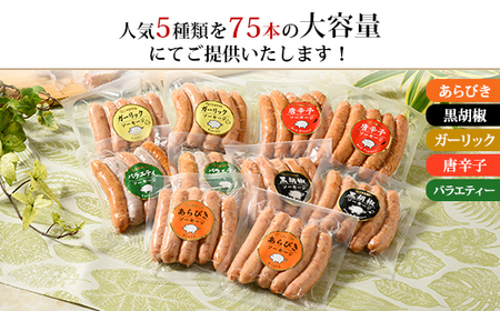 ウインナー充実セット(5種類75本 計1.9kg)