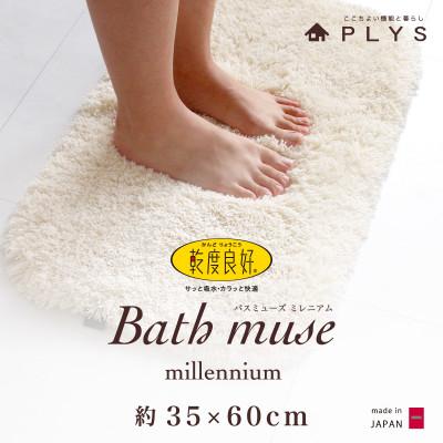 ふるさと納税 海南市 乾度良好(R)バスミューズミレニアムバスマット　35×60cm　IV