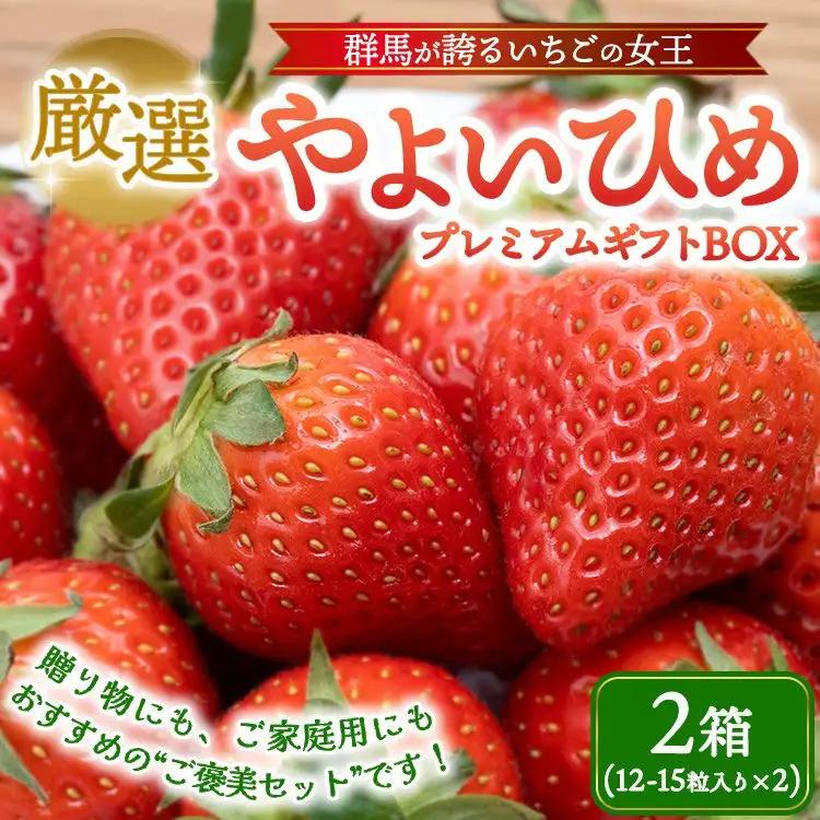 厳選 やよいひめ プレミアムギフトBOX 2箱 （12～2月発送） | いちご 大粒 高糖度 果物 フルーツ 苺 イチゴ くだもの 新鮮 朝採れ 朝どれ ギフト プレゼント 贈り物 国産 群馬県 伊勢崎市 ※2026年12月～発送