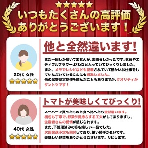 【 野菜 】 野菜7から8種