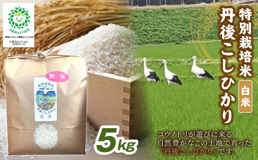 
                  【配送時期選べる】【3ヶ月定期便】令和8年産 丹後こしひかり 白米5kg 【特別栽培米】新米 ふるさと納税 白米 米 精米 5キロ お米 ご飯 新米 特別栽培 令和8年 ふるさと納税 コシヒカリ　KU00092
                