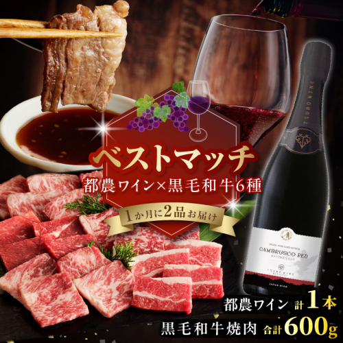 【期間・数量限定】＼ベストマッチ!!／都農ワイン&黒毛和牛(経産牛(訳あり))6種焼肉 肉 牛肉 酒 ワイン 国産_T999-024