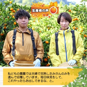久幸園 完熟 有田 みかん 5kg　※2024年11月より順次発送予定【hsk004-r-5】
