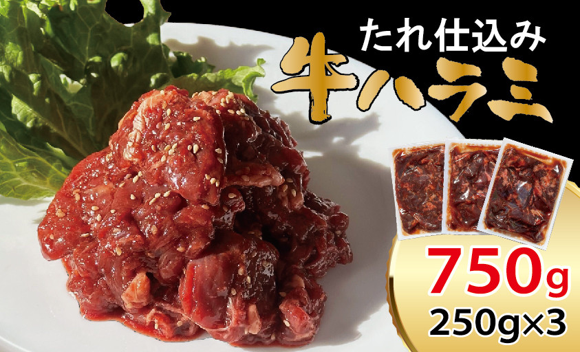 
べこ政宗【牛ハラミたれ仕込み】750g (250g×3)｜牛肉 牛ハラミ 焼肉用 冷凍 小分け 焼肉 BBQ、味付き 家計応援 焼くだけ [0219]
