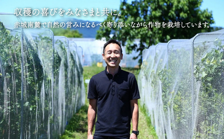 7層のブルーベリーボトルパフェ180ml× 2本入り ブルーベリーパフェ