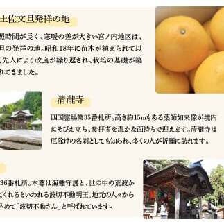 かんたん除菌ウエットティッシュ アルコールタイプ 20枚入り×3P×10セット(合計30個) ウェットティッシュ コラーゲン配合 除菌 掃除 除菌シート お手拭き 日用品【テンポイント株式会社】 [B