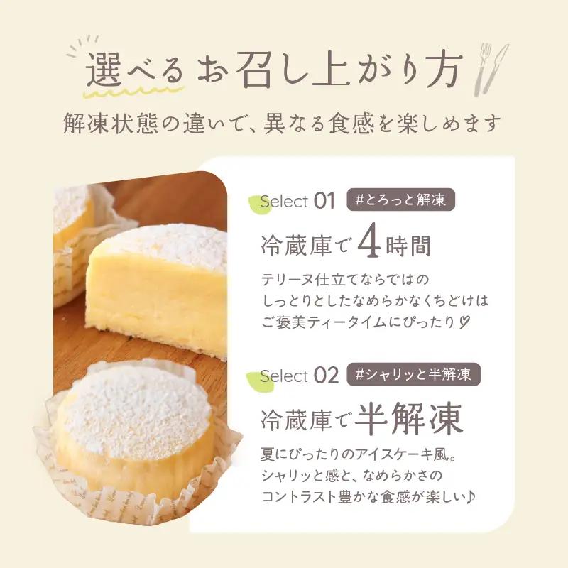INFINI チーズケーキ KANKAN 濃厚テリーヌ 柑橘 冷凍スイーツ デザート ギフト ケーキ_0004-002-se4