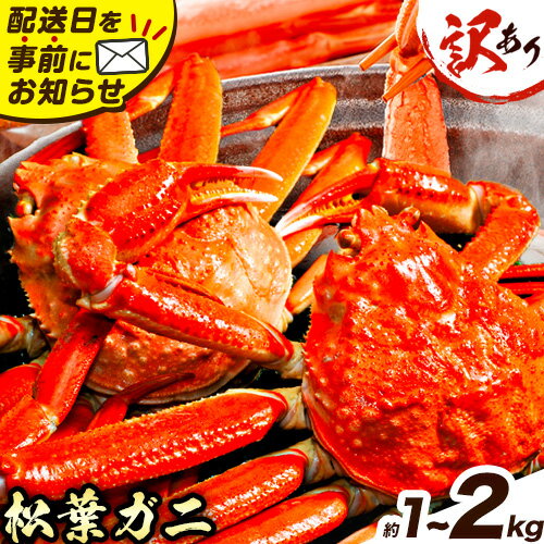 【ふるさと納税】訳あり カニ 松葉ガニ 選べる 約1kg 2～3枚 or 約2kg 2～5枚《11月中旬-3月中旬頃出荷》鳥取県 八頭町 送料無料 蟹 かに 姿 鍋 ズワイガニ 松葉ガニ ズワイ蟹 ボイル 冷蔵便 松葉蟹 海鮮 魚介
