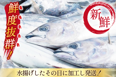朝獲れ 産地直送 冷蔵便 生かつおタタキ 600g タレ付 真空パック [阿部長商店 宮城県 気仙沼市 20564103]