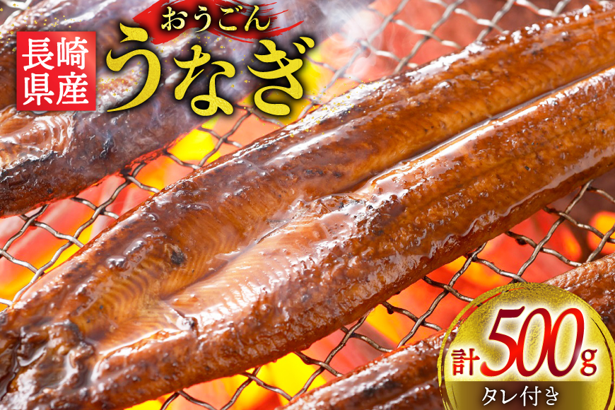 うなぎ 国産 蒲焼 長崎県産 おうごんうなぎ 約500g 1尾〜4尾 [松永水産 長崎県 平戸市 hr42bvj550036] 鰻 うな重 うな丼 ひつまぶし 蒲焼き かばやき タレ付き 養殖 国内産 1尾 4尾 冷凍 unagi