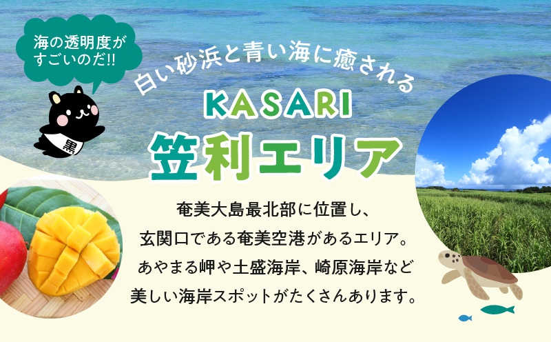 鹿児島県奄美市の対象ツアーに使えるHISふるさと納税クーポン 寄附額1,000,000円