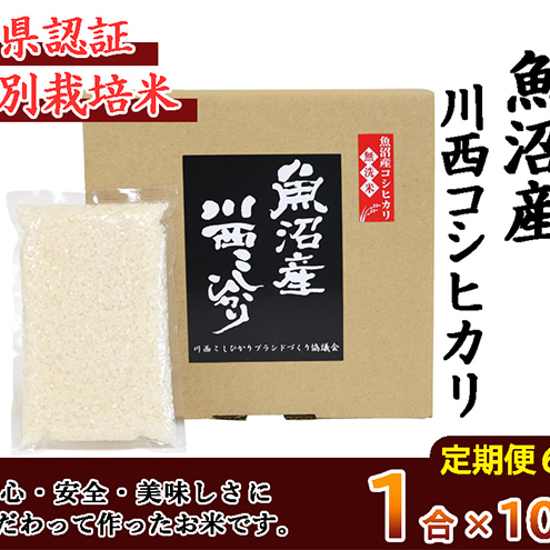 【定期便／全6回】無洗米 魚沼産こしひかり1合×10袋 新潟県認証特別栽培米