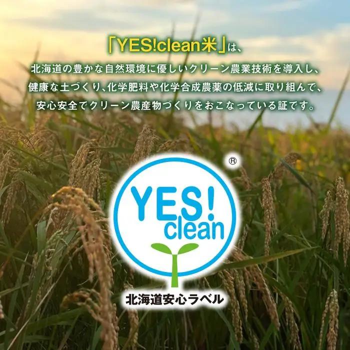 《令和7年産》ななつぼし5kg×2袋（10kg）YES!clean米 | ななつぼし 北海道 限定 _01307