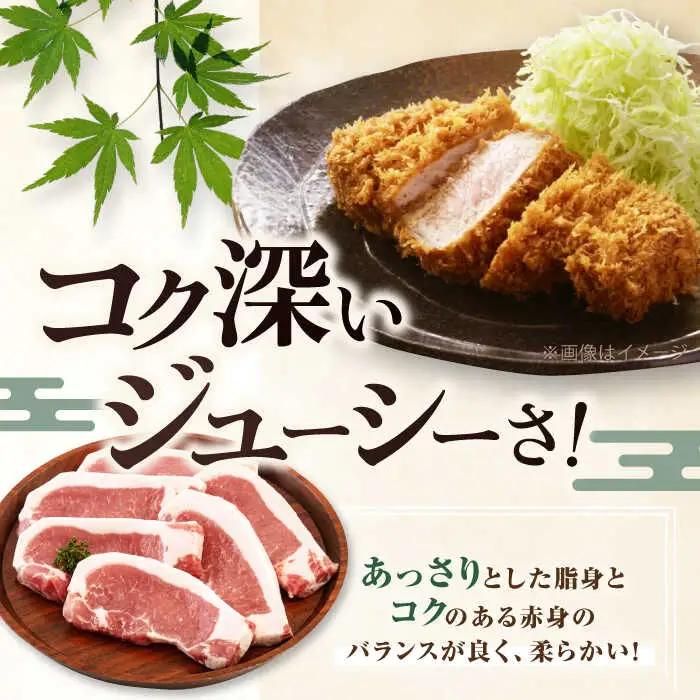 【全2回定期便】平田牧場 ロース ステーキ 600g  (100g×6枚) ※藻塩ナシ 豚肉 とんかつ 生姜焼き[AJAP086]
