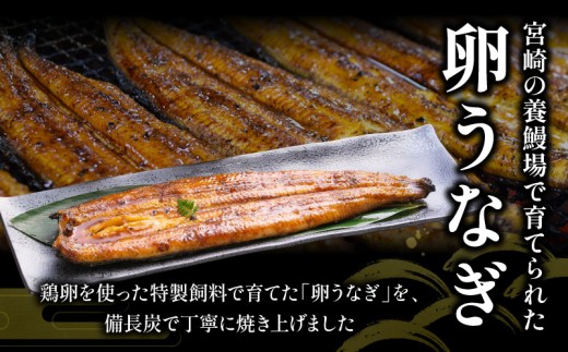 「卵うなぎ」備長炭手焼蒲焼 4尾(計1000g)_M159-012-06